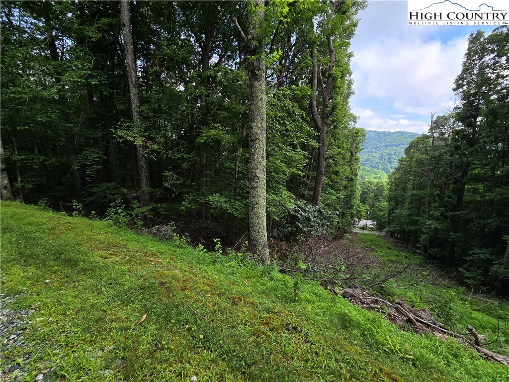 Tbd Red Fox Ridge Property Photo 17
