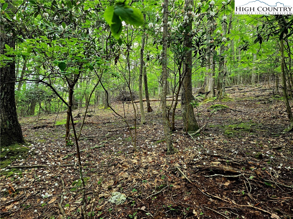 TBD Red Fox Ridge Property Photo 1