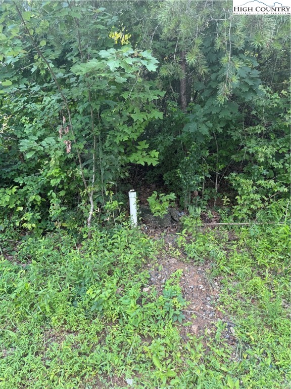 1047 Williamsburg Drive Property Photo 4