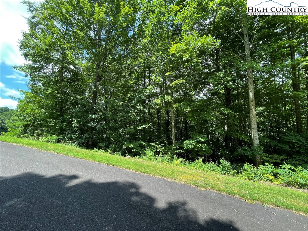 Tbd Lot #9 Granite Creek Drive Property Photo 6