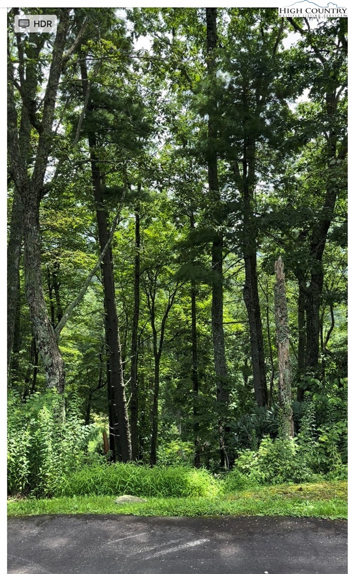 Lot 11 Sunset Ridge Drive Property Photo 6