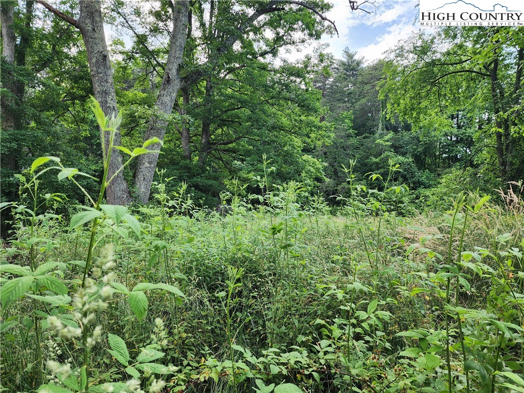 000 W Us Highway 421 Property Photo 12
