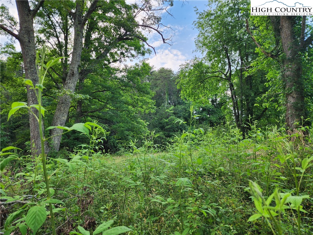 000 W Us Highway 421 Property Photo 13