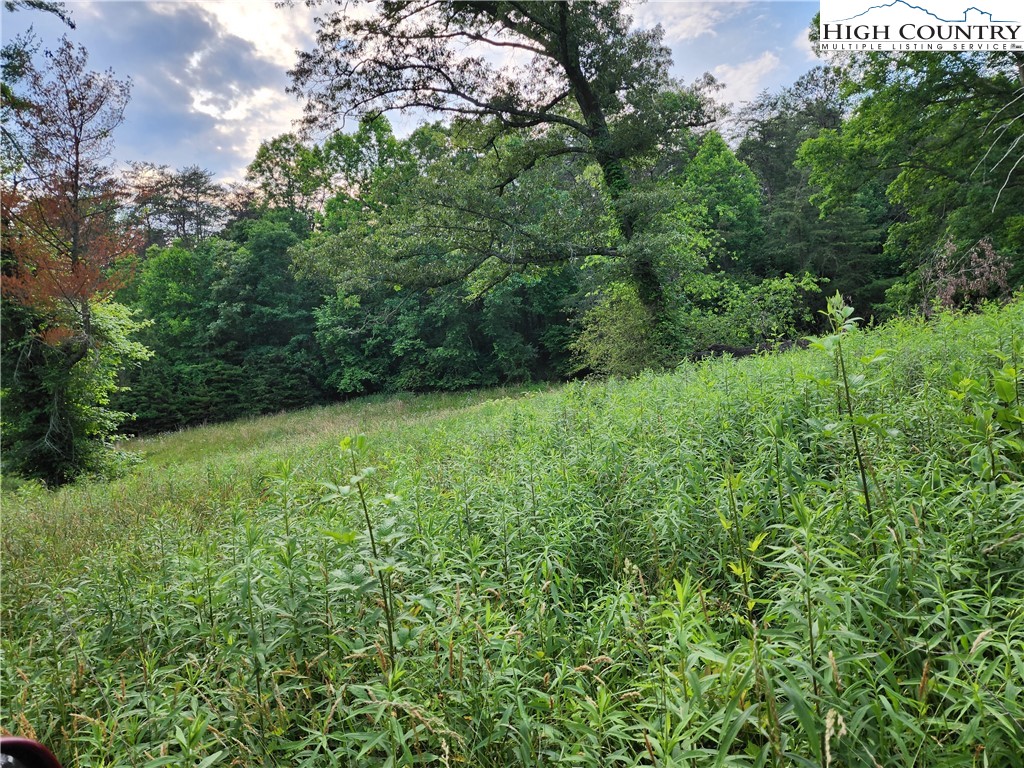 000 W Us Highway 421 Property Photo 14