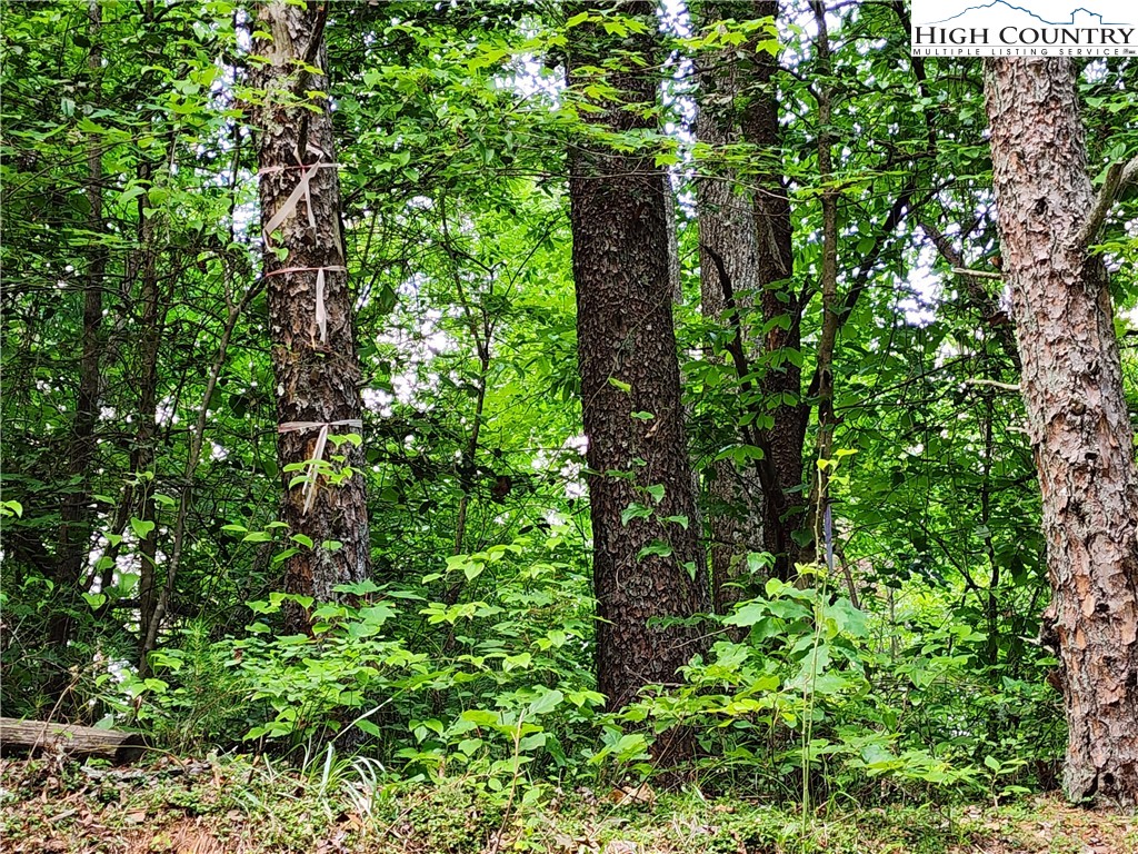 000 W Us Highway 421 Property Photo 19