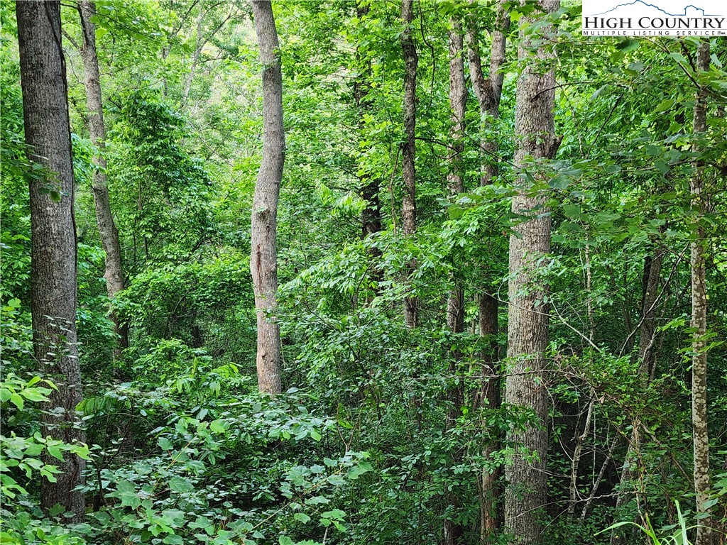000 W Us Highway 421 Property Photo 21