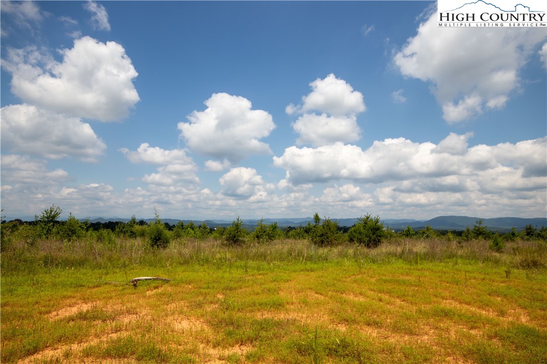Tbd Hickory Boulevard Property Photo 1