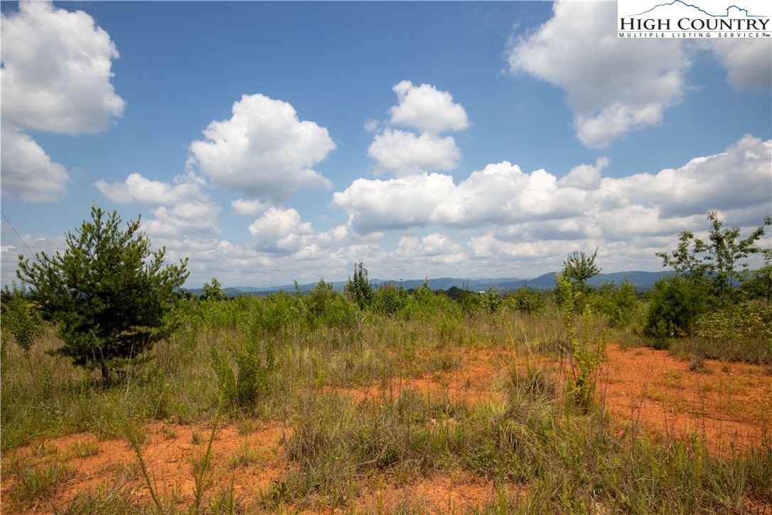 Tbd Hickory Boulevard Property Photo 2