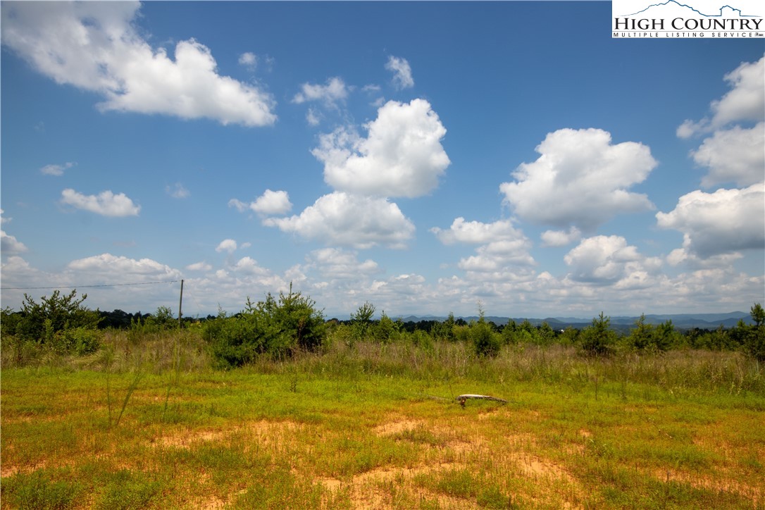 Tbd Hickory Boulevard Property Photo 3