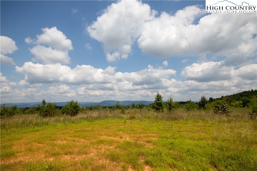 Tbd Hickory Boulevard Property Photo 4