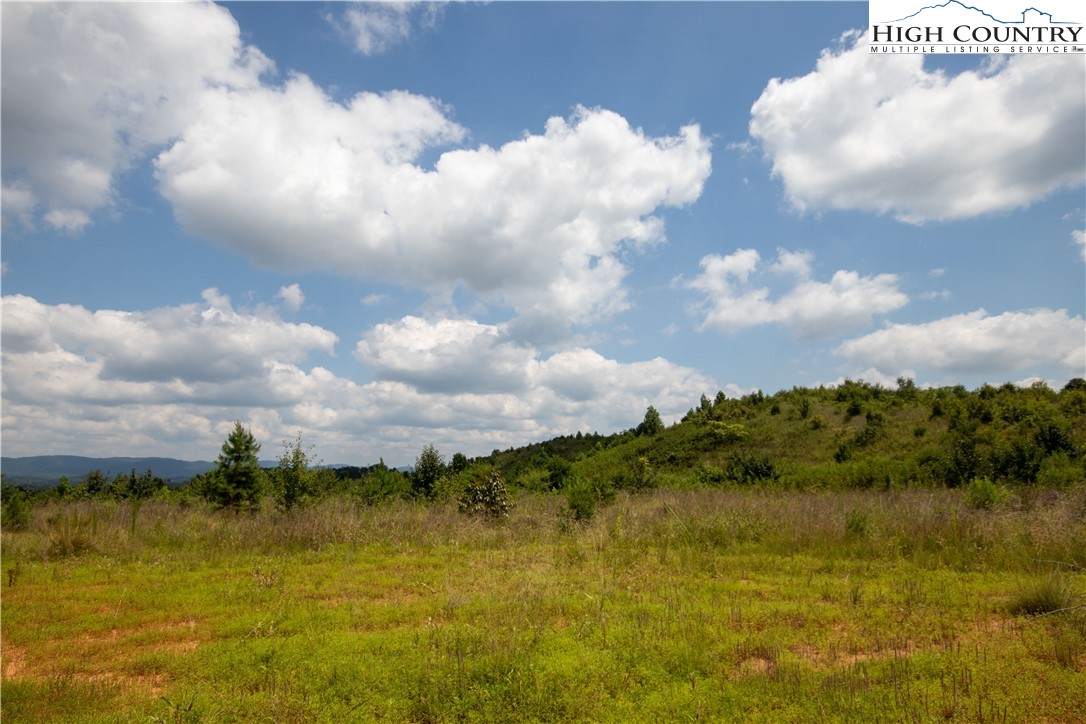 Tbd Hickory Boulevard Property Photo 5