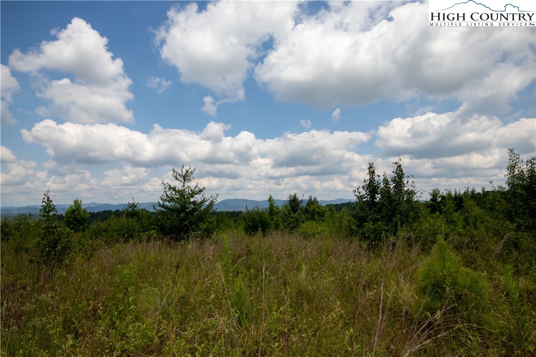 Tbd Hickory Boulevard Property Photo 13