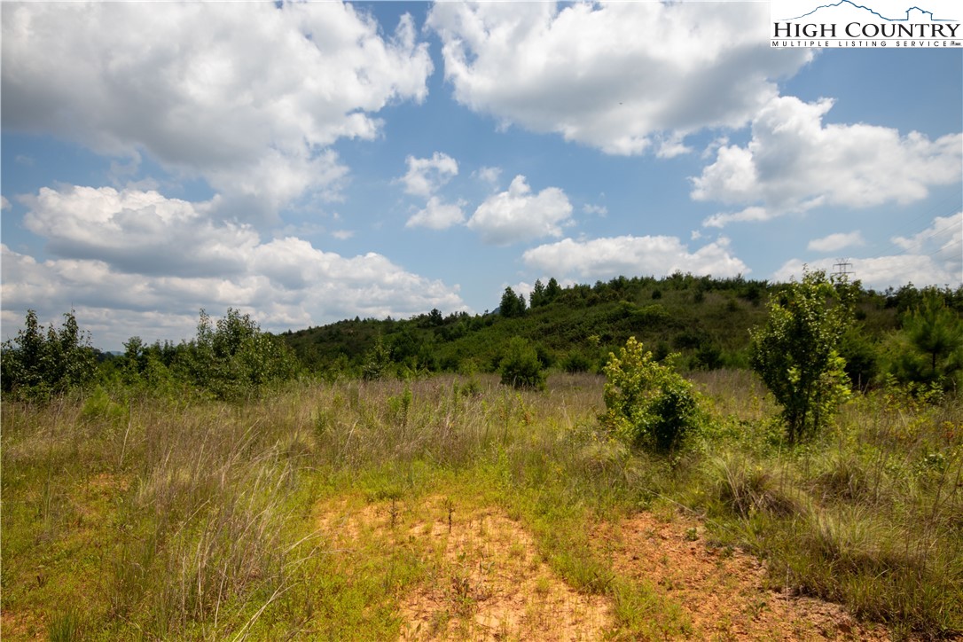 Tbd Hickory Boulevard Property Photo 15