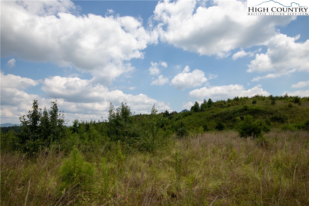 Tbd Hickory Boulevard Property Photo 16