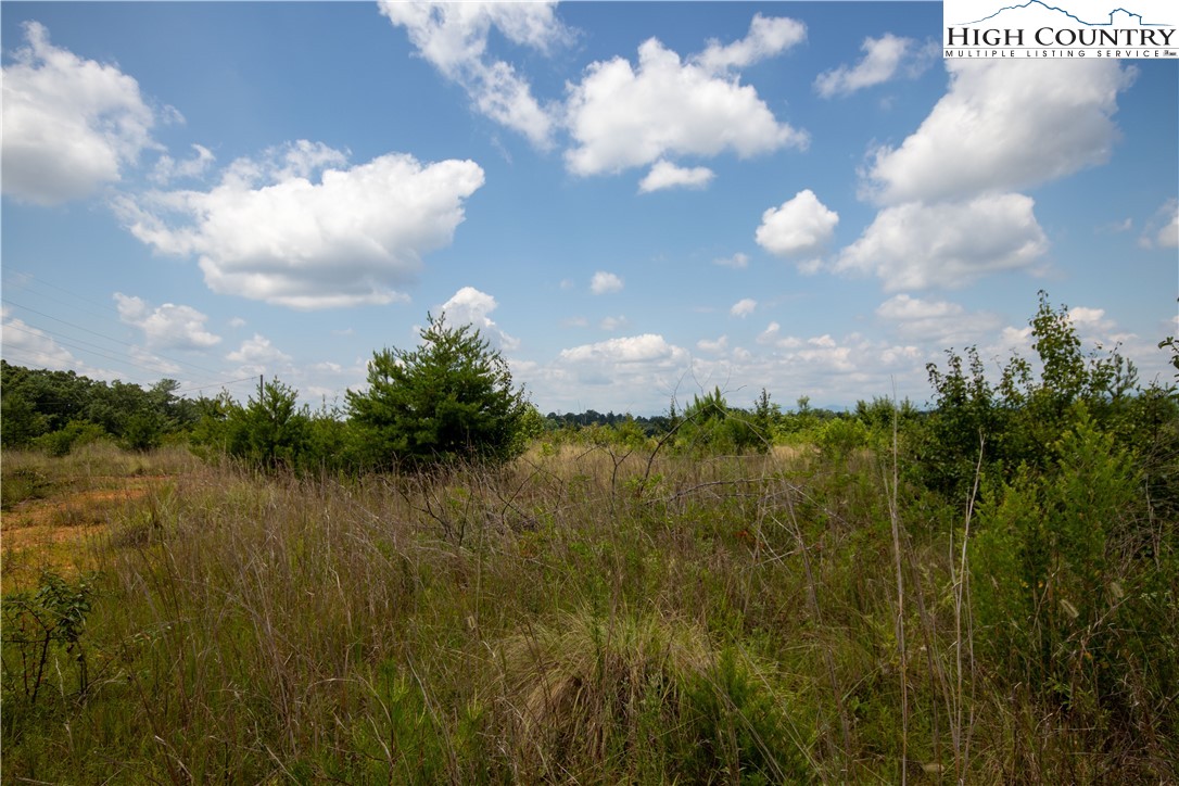 Tbd Hickory Boulevard Property Photo 17