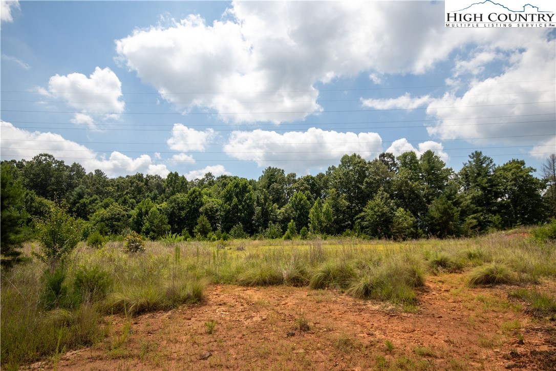 Tbd Hickory Boulevard Property Photo 18
