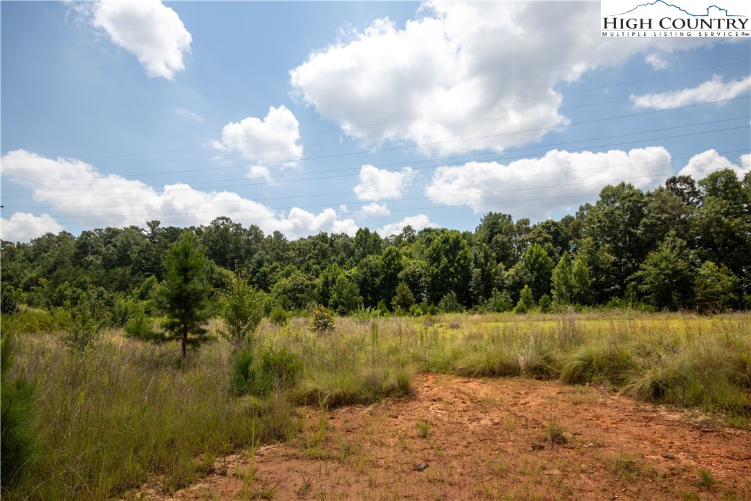 Tbd Hickory Boulevard Property Photo 19