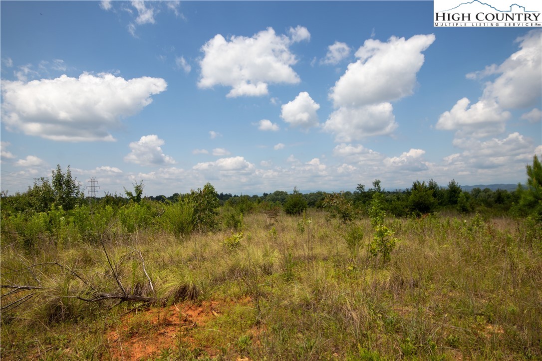 Tbd Hickory Boulevard Property Photo 20