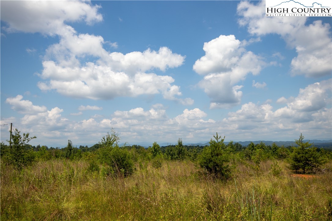 Tbd Hickory Boulevard Property Photo 22
