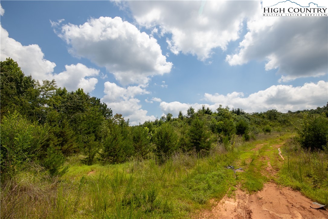Tbd Hickory Boulevard Property Photo 24