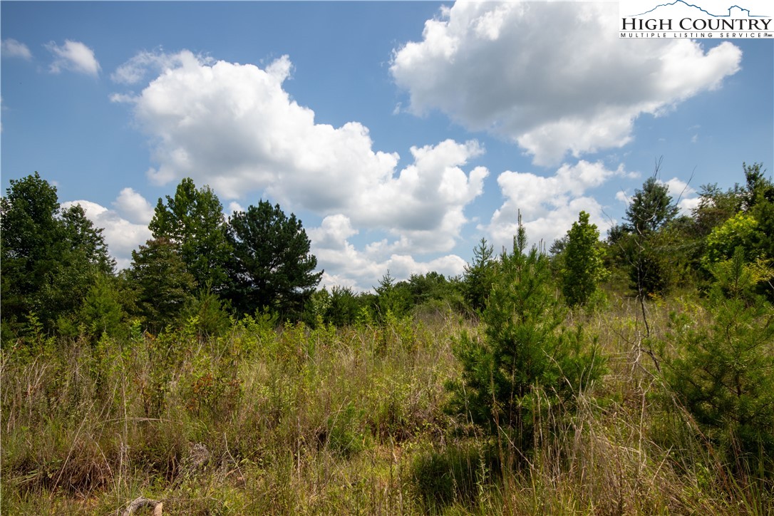 Tbd Hickory Boulevard Property Photo 25