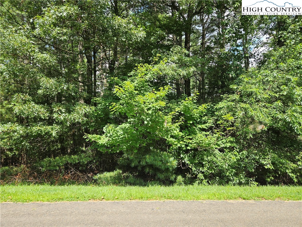 Tbd Holly Run Property Photo 1