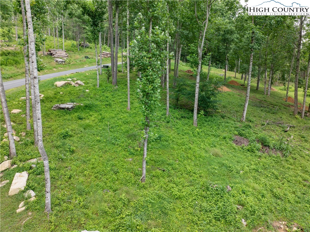 V-83 Black Feather Drive Property Photo 2