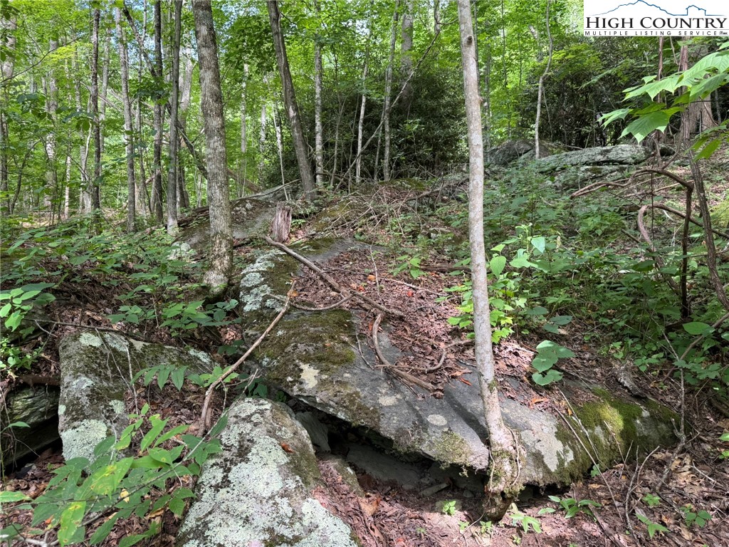 Tbd Boulder Gardens Road Property Photo 2