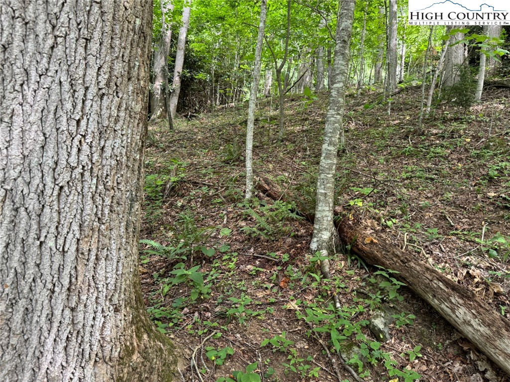Tbd Boulder Gardens Road Property Photo 3