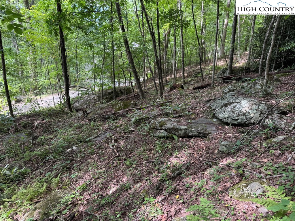 Tbd Boulder Gardens Road Property Photo 6