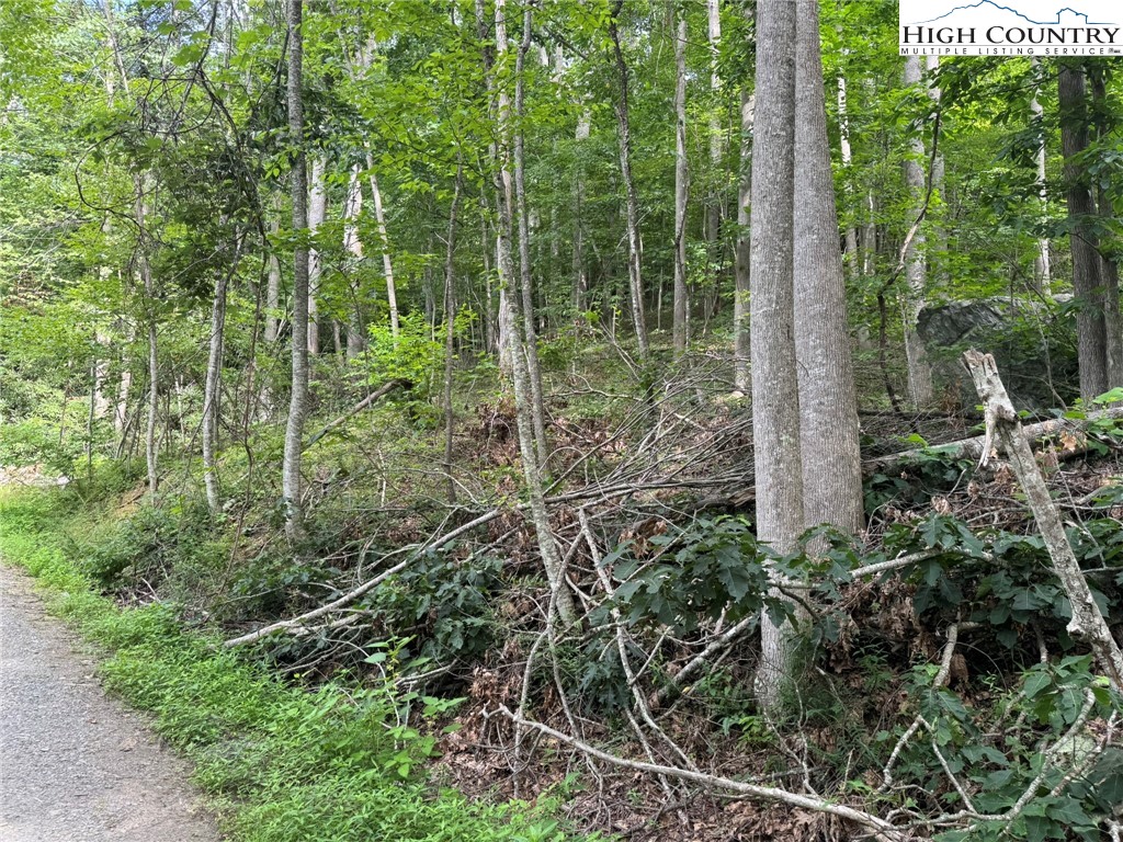 Tbd Boulder Gardens Road Property Photo 8