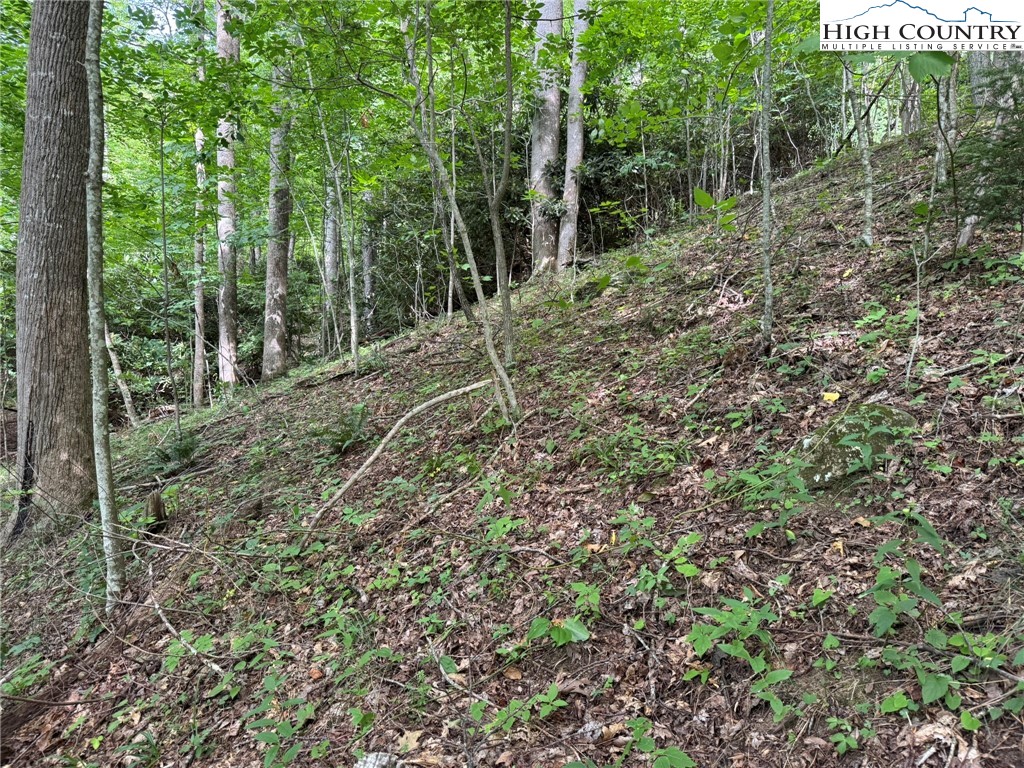Tbd Boulder Gardens Road Property Photo 10