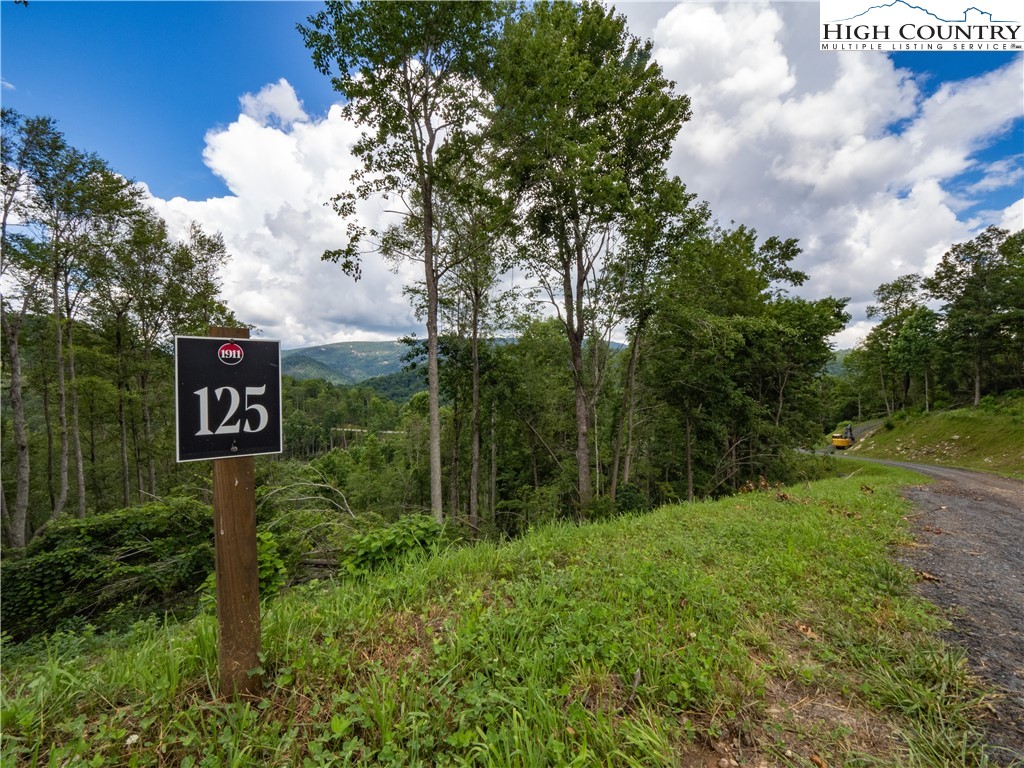 Lot 125 Tower Oaks Trail Property Photo 1
