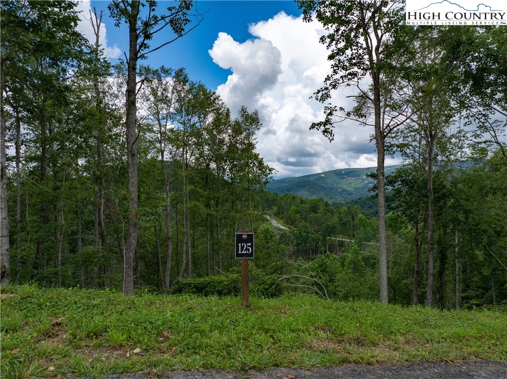 Lot 125 Tower Oaks Trail Property Photo 2