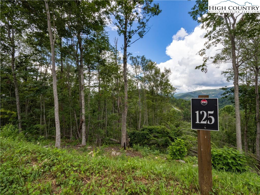 Lot 125 Tower Oaks Trail Property Photo 6