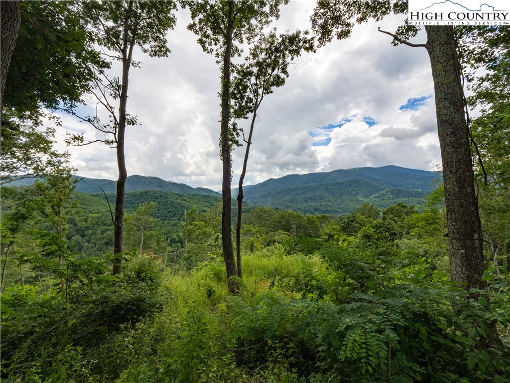 Lot 125 Tower Oaks Trail Property Photo 7