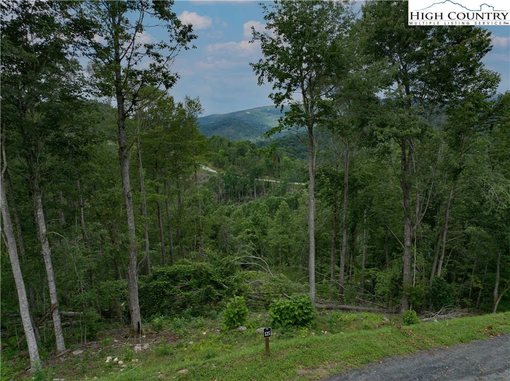 Lot 125 Tower Oaks Trail Property Photo 8