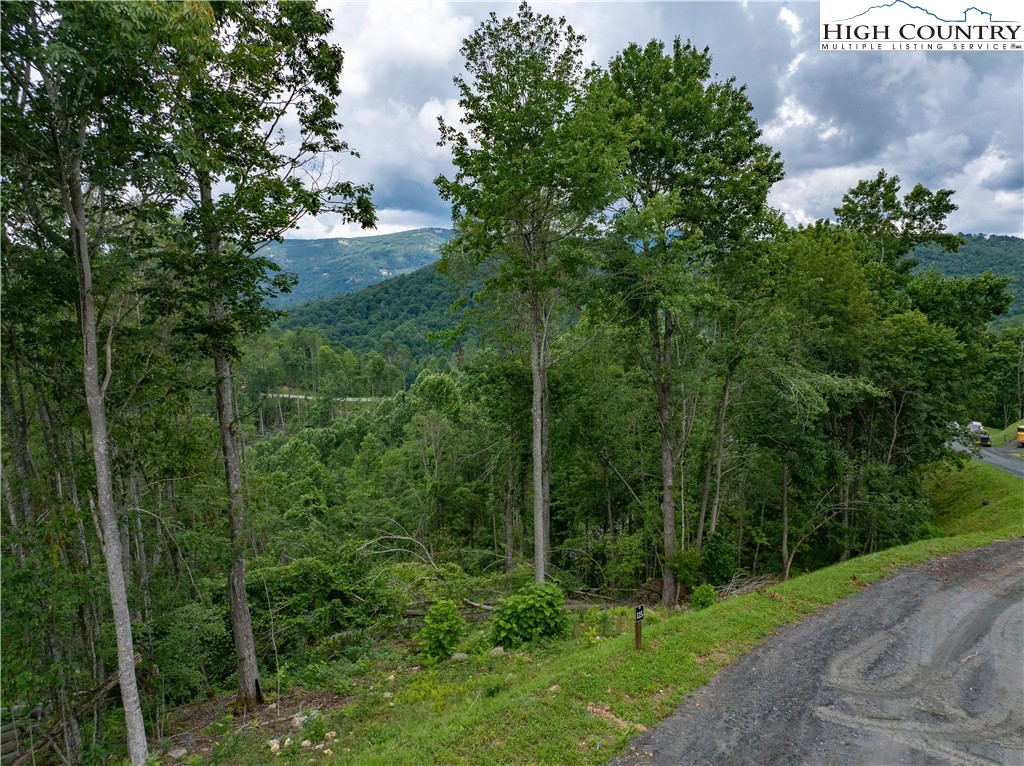Lot 125 Tower Oaks Trail Property Photo 13
