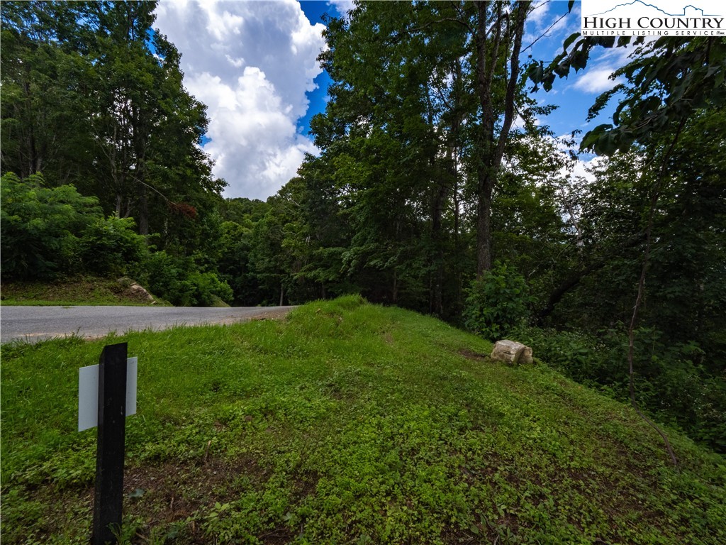 Lot 125 Tower Oaks Trail Property Photo 14