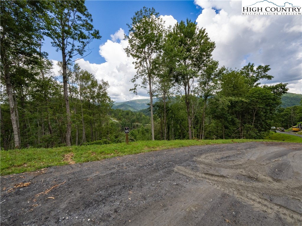 Lot 125 Tower Oaks Trail Property Photo 15