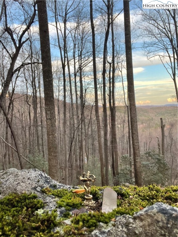 48 Wildcat Wilderness Parkway Property Photo 1