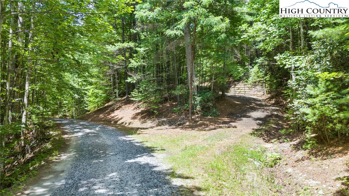 00 Clear Branch Drive Property Photo 2