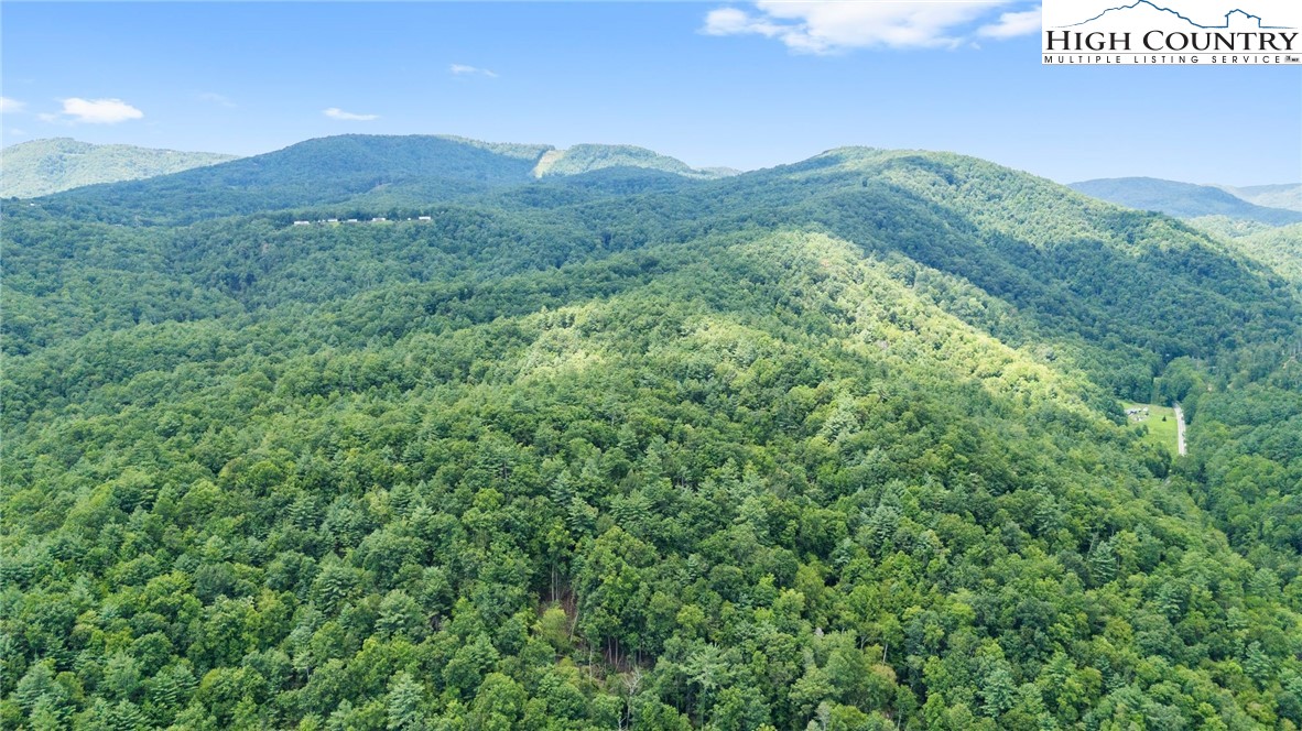 00 Clear Branch Drive Property Photo 3