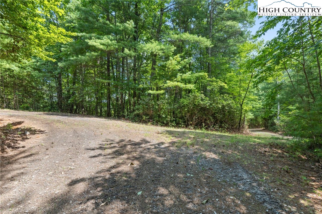 00 Clear Branch Drive Property Photo 4
