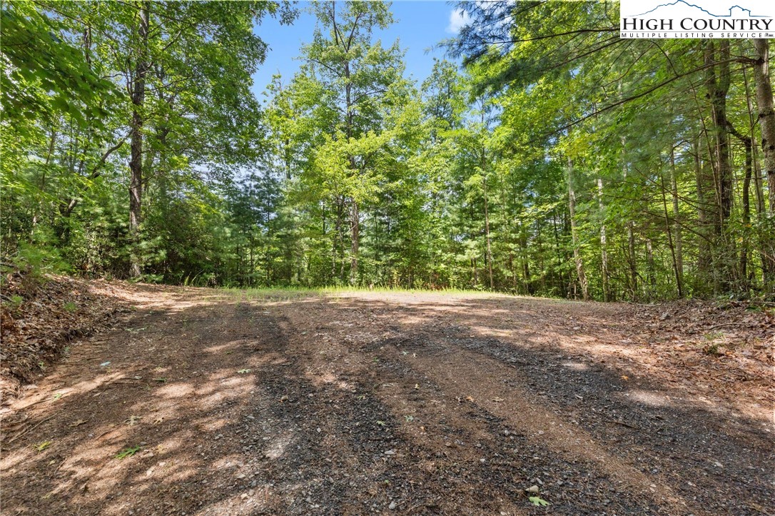 00 Clear Branch Drive Property Photo 5