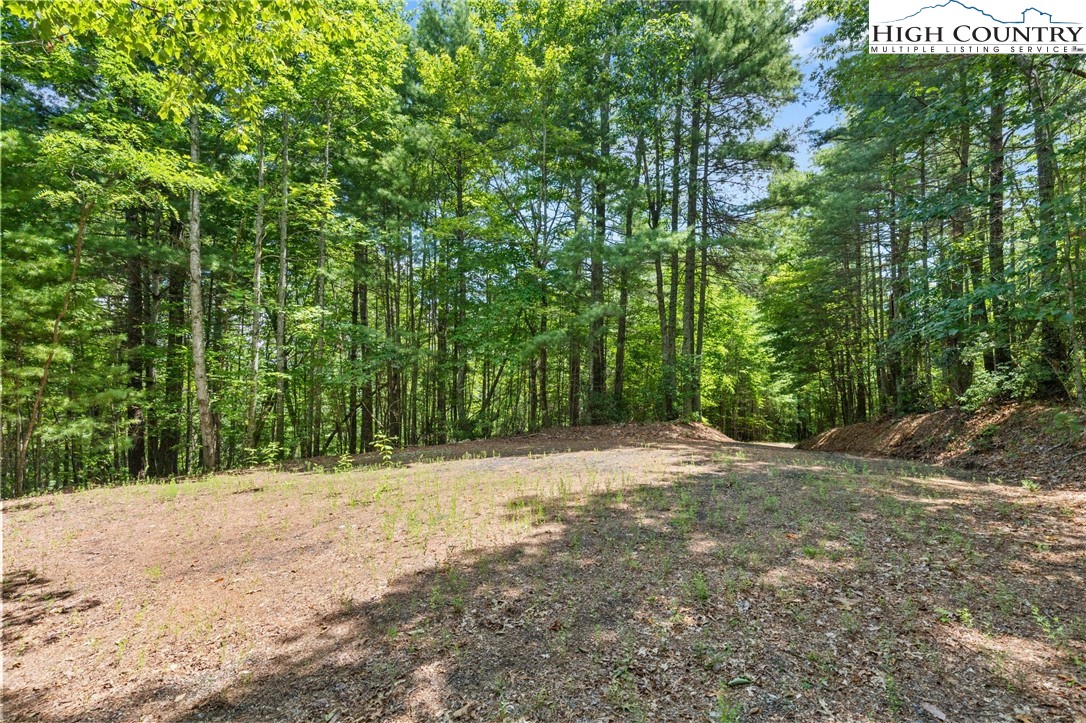 00 Clear Branch Drive Property Photo 7