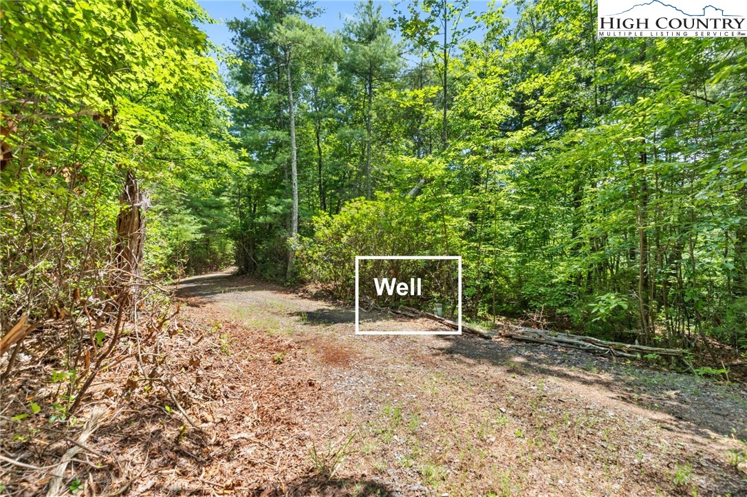 00 Clear Branch Drive Property Photo 8