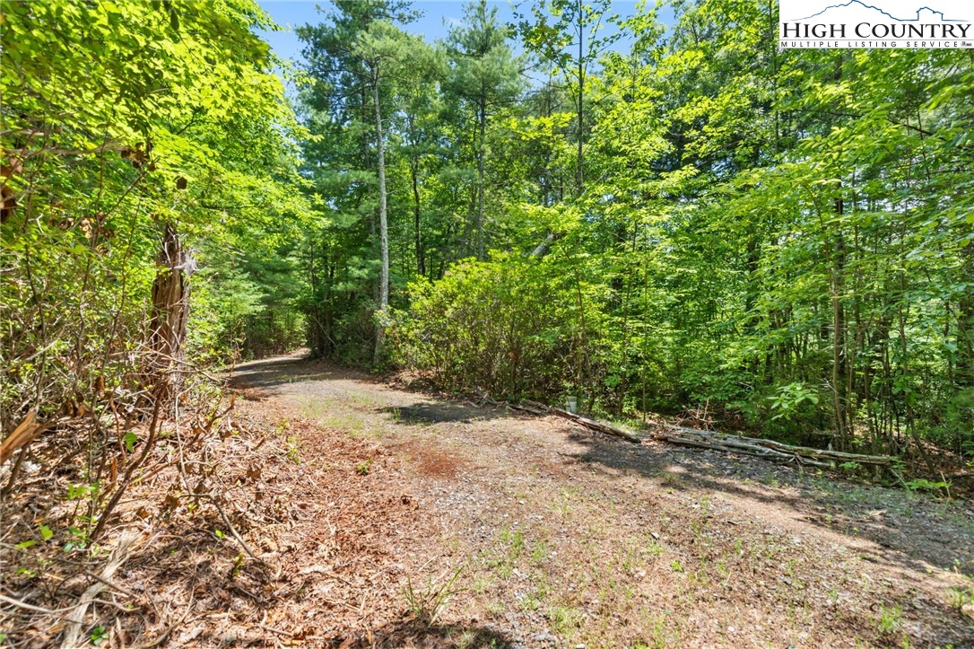 00 Clear Branch Drive Property Photo 9