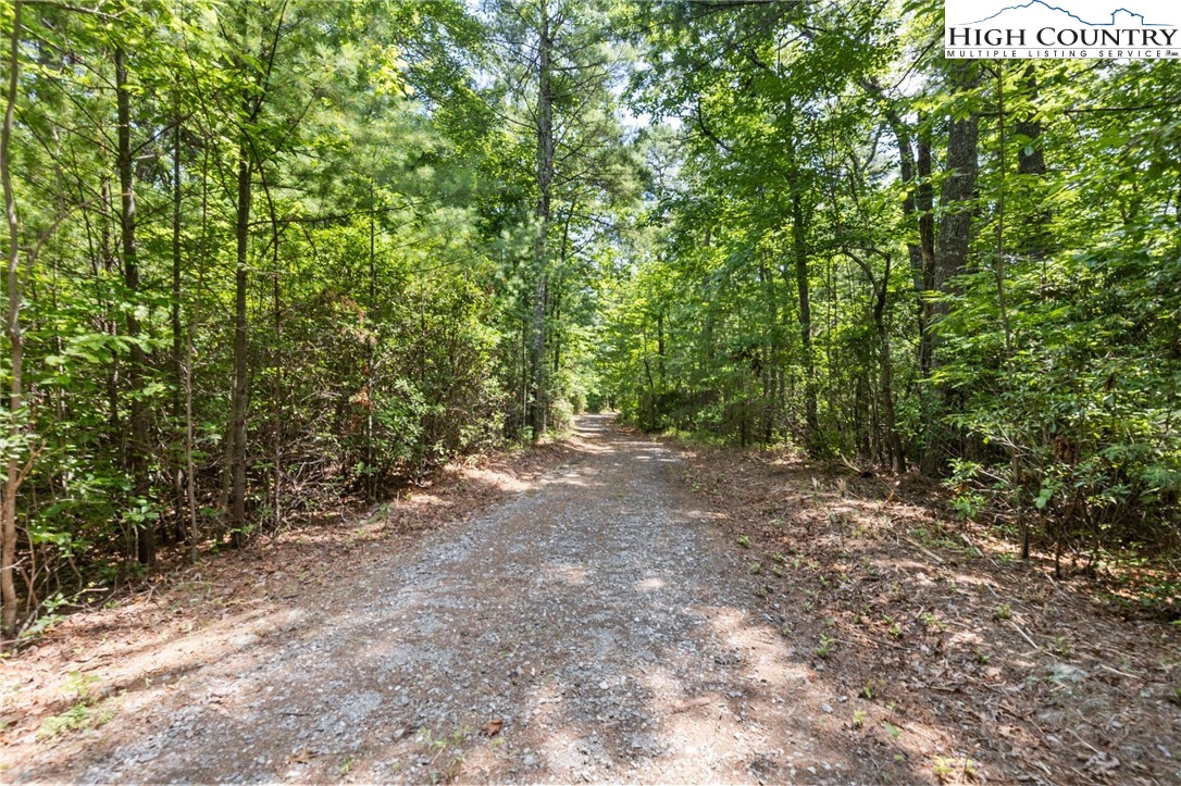 00 Clear Branch Drive Property Photo 10