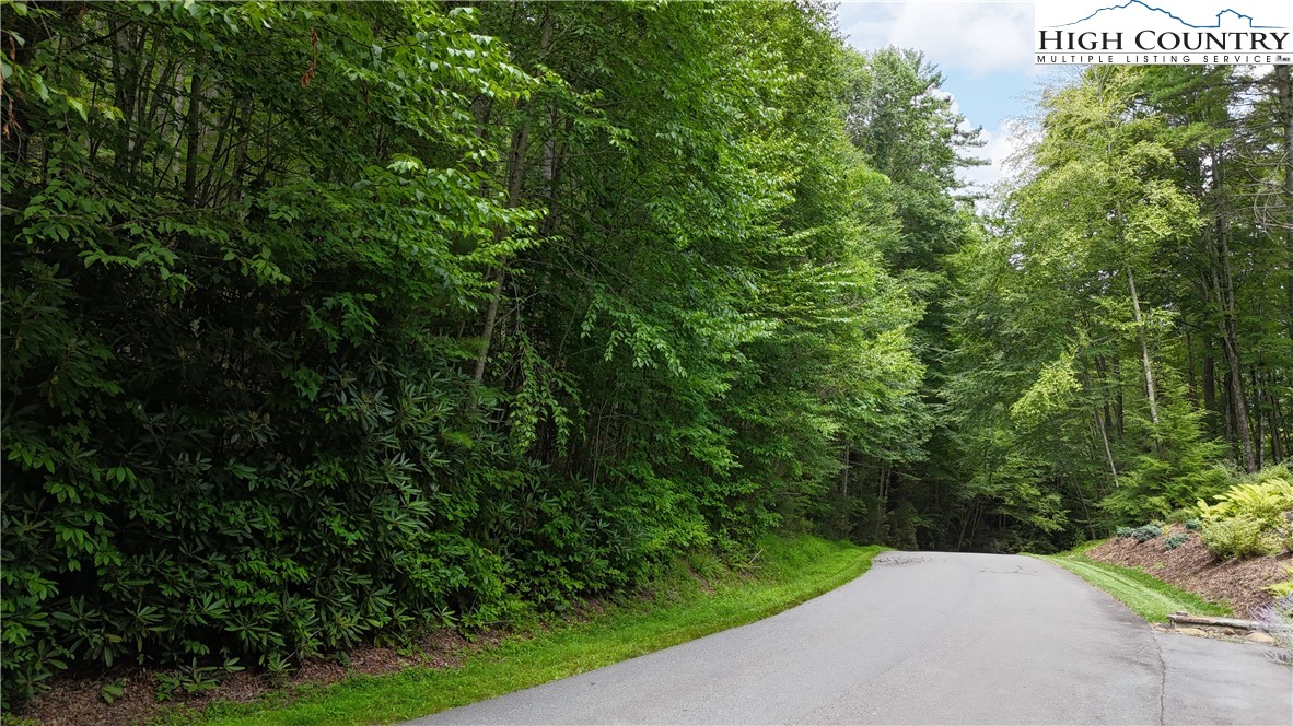 Lot 20 Twin Rivers Drive Property Photo 1